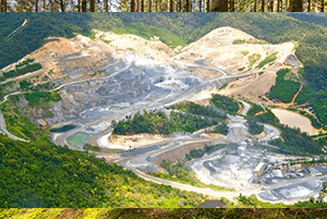 Orman Maden İzinleri 6