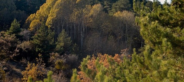 Arazi Keşfi ve Gerekli Belgelerin Toparlanması