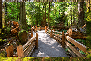 Ormanda Kurulacak Turizm Tesisleri İzinleri 2 Ormanda Kurulacak Turizm Tesisleri İzinleri