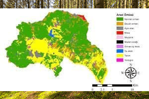 Özel Orman Amenajman Planı Yapımı 10