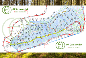 Ağaç Röleve Planı 7