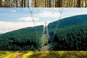 Orman Enerji Nakil Hattı İzinleri 3 enh-orman-izni-kapak