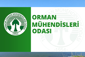 Denizli Orman Mühendisleri Çalışanlar Listesi 15
